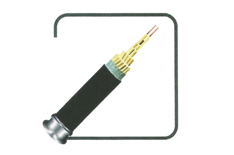0.6/1KV聚氯乙烯绝缘控制电力电缆