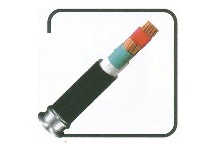 0.6/1KV聚氯乙烯绝缘电力电缆