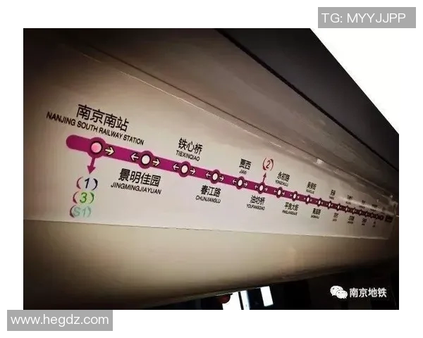 南京乒乓球队运营模式解析与发展前景探讨