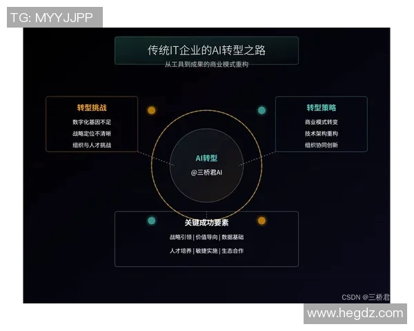 武汉羽毛球队的转型之路：从传统强队到现代竞技的深度解析