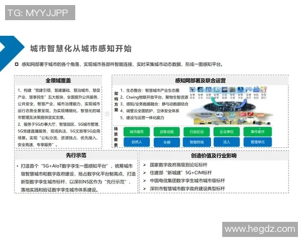 深入分析上海飞盘队的运营策略与发展模式探讨